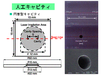 �����׉��H�@�ō쐬���������L���r�e�B